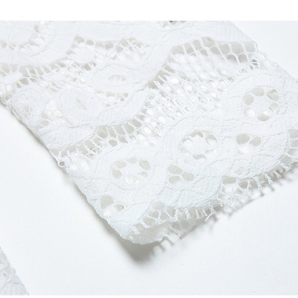 Last 1! Hollow Long Sleeves Knee Length Lace Dress - Picture 7 of 8